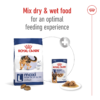 Royal Canin Size Health Nutrition Maxi Adult - Image 6