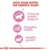 Royal Canin Feline Health Nutrition Kitten - Image 6