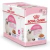 RoyaL Canin Feline Health Nutrition Kitten Jelly Wet Food - Pouches 12x85G - Image 2