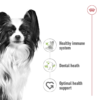 Royal Canin Size Health Nutrition XS Adult 1.5 KG - Image 2