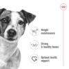 Royal Canin Size Health Nutrition Mini Adult Wet Food- Pouches 12 x 85g - Image 2