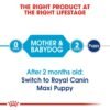Royal Canin Size Health Nutrition Maxi Starter - Image 2