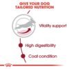 Royal Canin Size Health Nutrition Medium Adult 7+ - Image 3