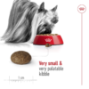 Royal Canin Size Health Nutrition XS Adult 8+ 1.5 KG - Image 4