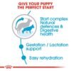 Royal Canin Size Health Nutrition Maxi Starter - Image 4
