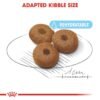 Royal Canin Size Health Nutrition Maxi Starter - Image 3