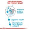 Royal Canin Size Health Nutrition Medium Puppy Wet Food- Pouches 10 x 140g - Image 6