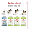 Royal Canin Size Health Nutrition XS Adult 8+ 1.5 KG - Image 5