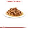 Royal Canin Size Health Nutrition Medium Puppy Wet Food- Pouches 10 x 140g - Image 3