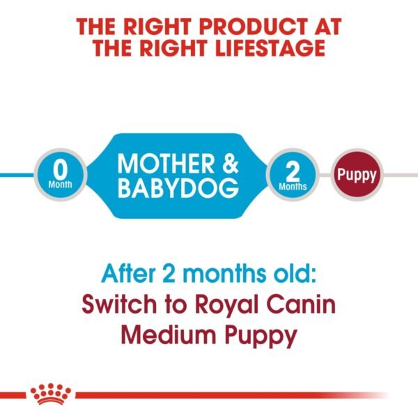 Royal Canin Size Health Nutrition Medium Starter 4 KG - Image 7