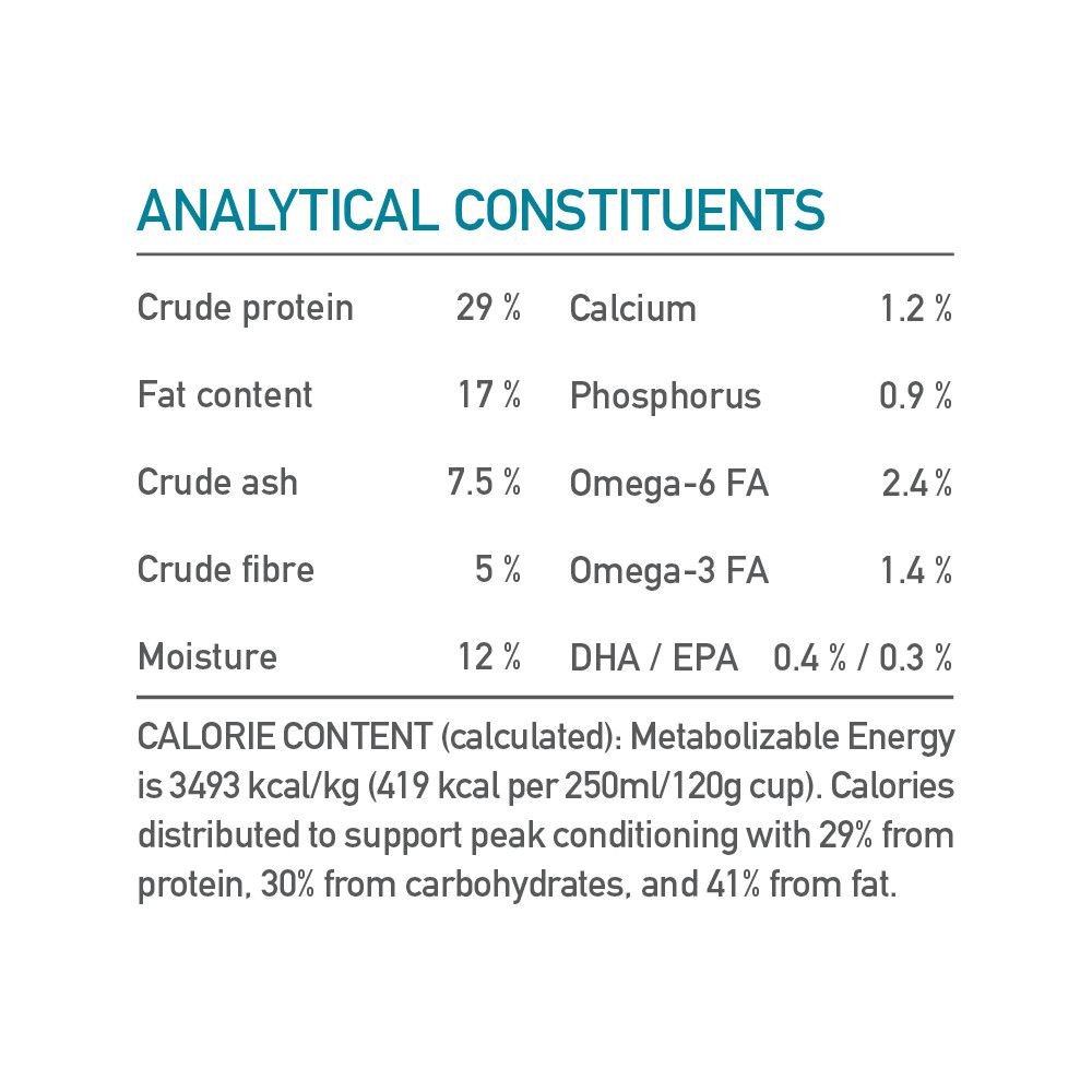 Acana Classics Wild Coast Recipe Dry Dog Food 2 kg - Image 7