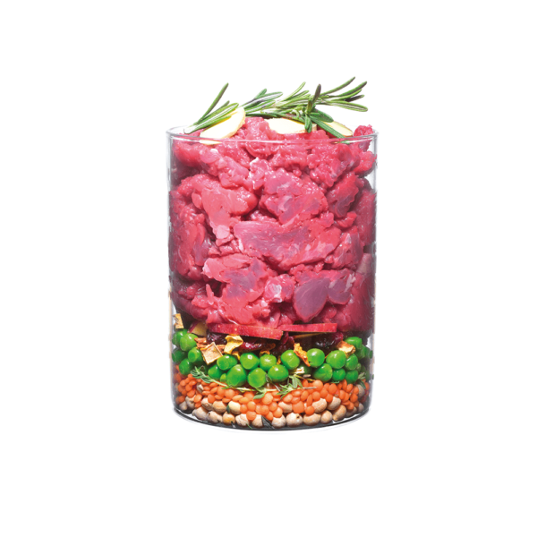 Carnilove True Fresh Beef for Adult Dogs 1.4kg - Image 2