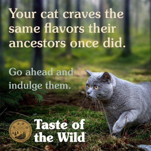 Taste of the Wild - Cat Wet Food Rocky Mountain Feline 85gr (Copy) - Image 3