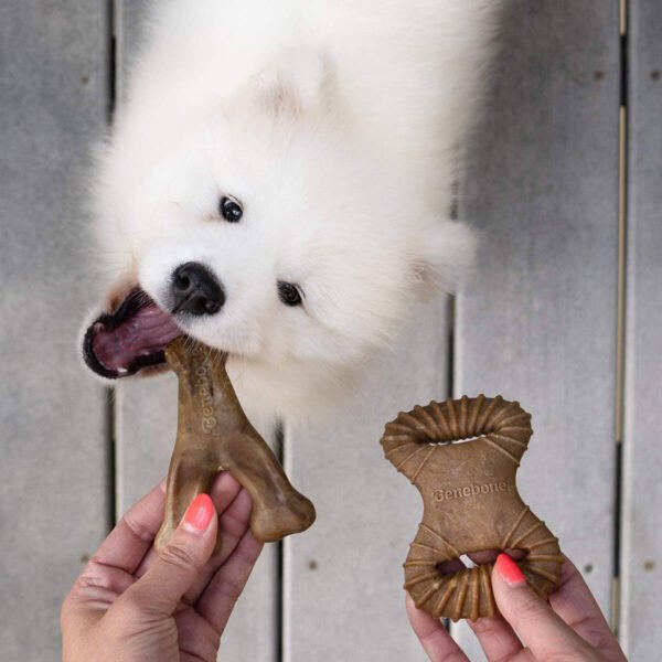 Benebone: Dog 2-Pack Dental Chew/Wishbone (Tiny) – Bacon - Image 3