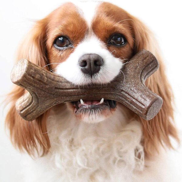 Benebone: Dog Maplestick Chew Toy - Image 2