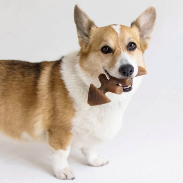 Benebone: Dog Chew Treats - Fish Bone Toy - Image 3