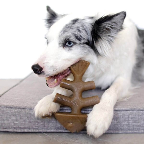 Benebone: Dog Chew Treats - Fish Bone Toy - Image 4