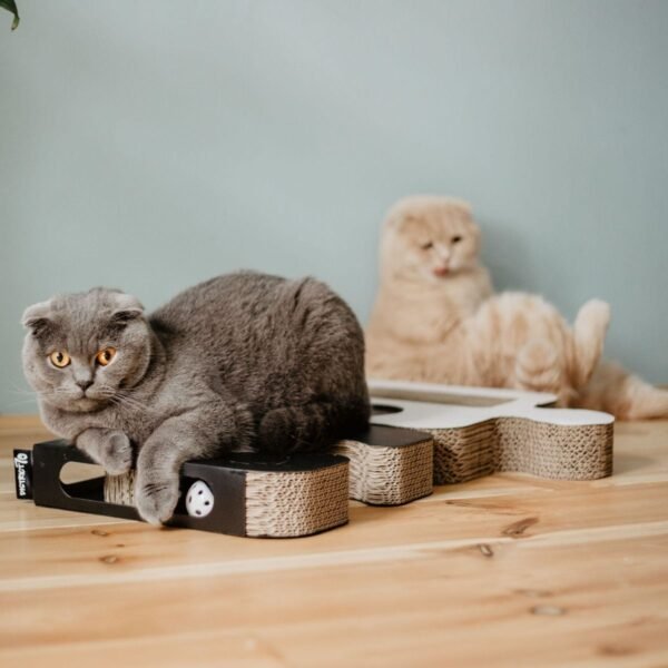 District 70: Puzzle Cardboard Scratcher Cat Toy - Image 2
