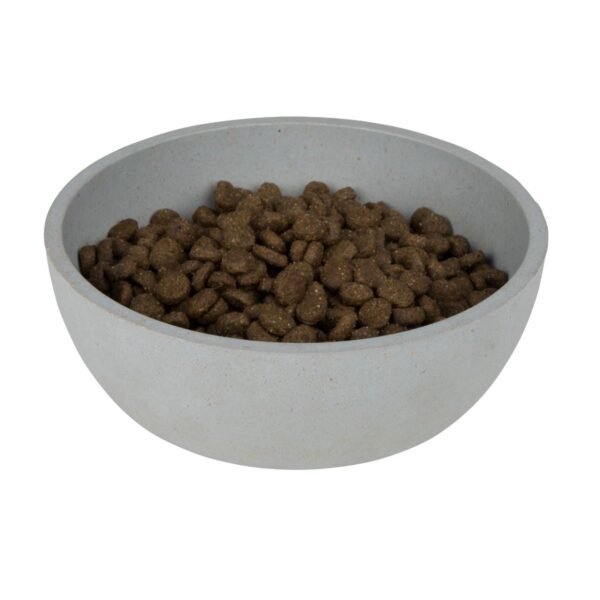 District 70: Bamboo Dog Bowl - Image 6