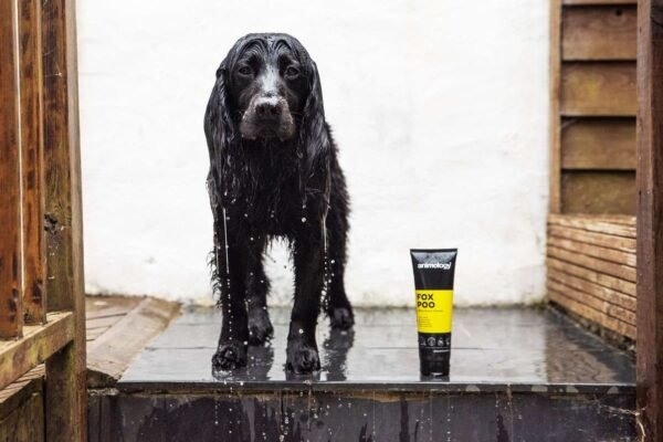 Animology: Fox Poo Odour & Poo Remover Dog Shampoo 250ml - Image 2