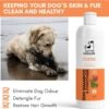 DogsLife: Dog Shampoo & Conditioner 237ml - Image 5