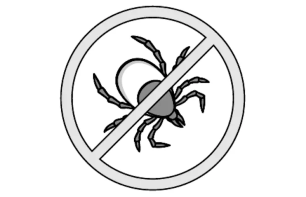 Flamingo: Household Flea & Tick Stop Spray 800ml - Image 3